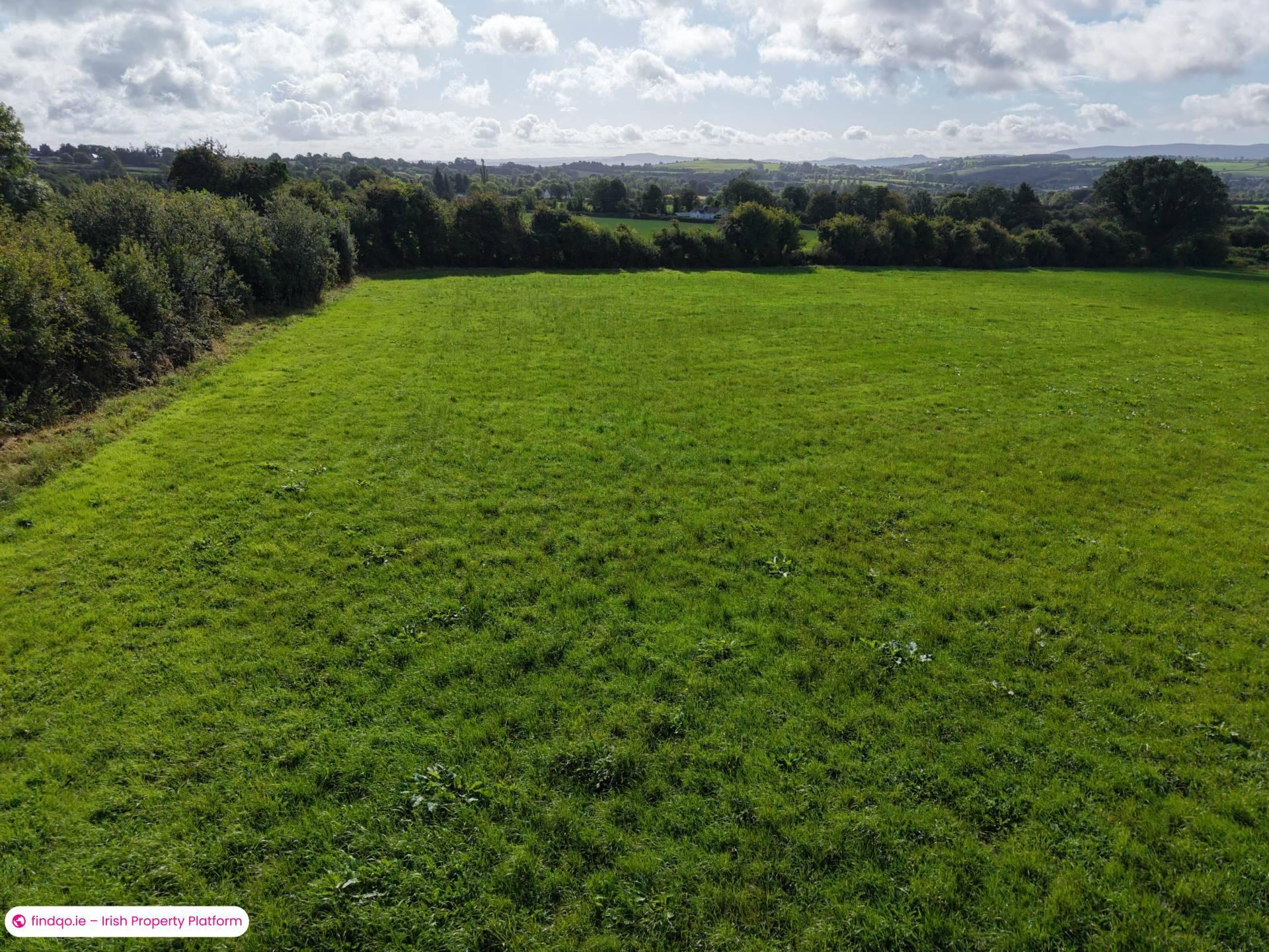 Agricultural Land for Sale in Drangan, Tipperary