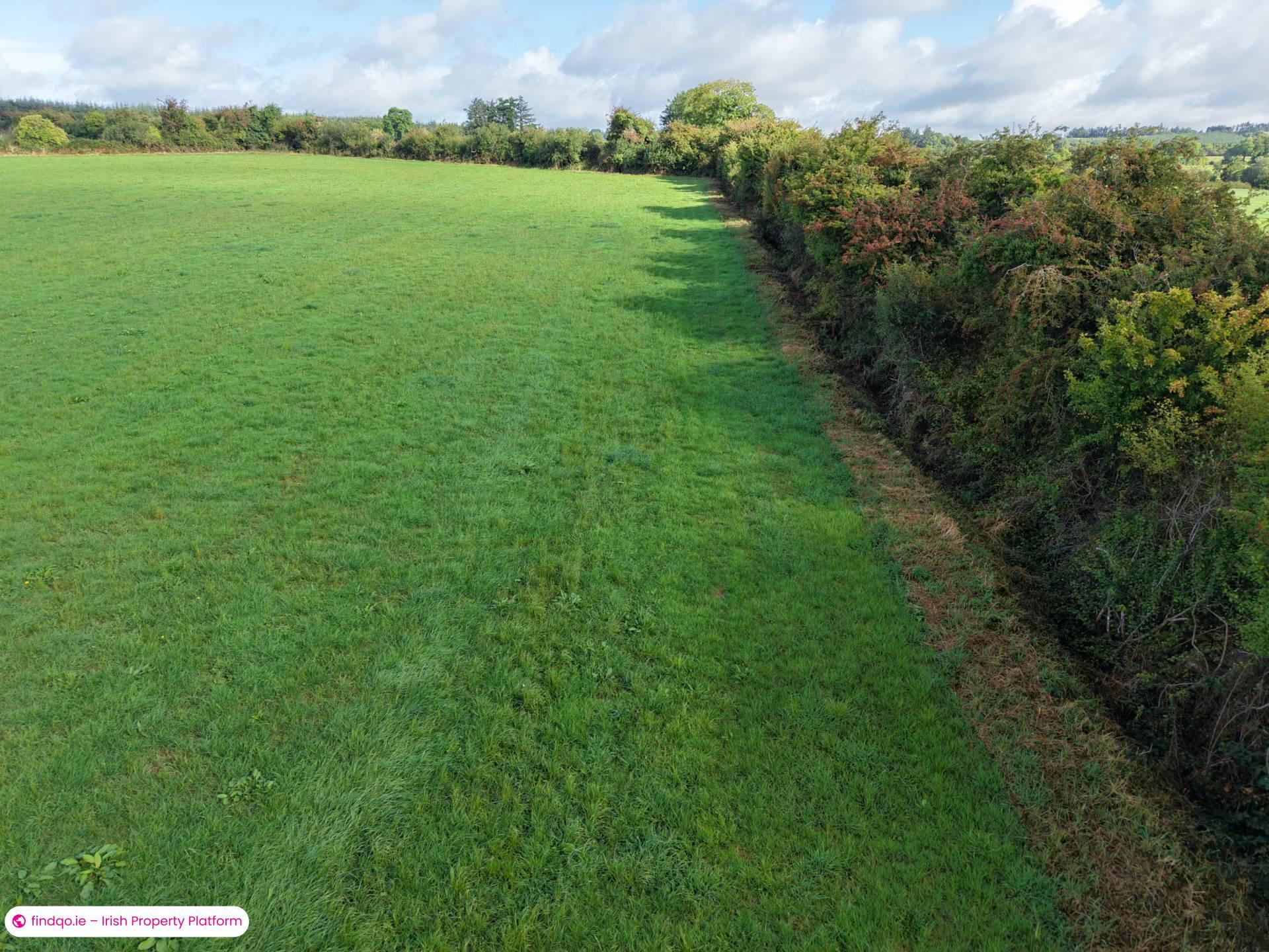 Agricultural Land for Sale in Drangan, Tipperary