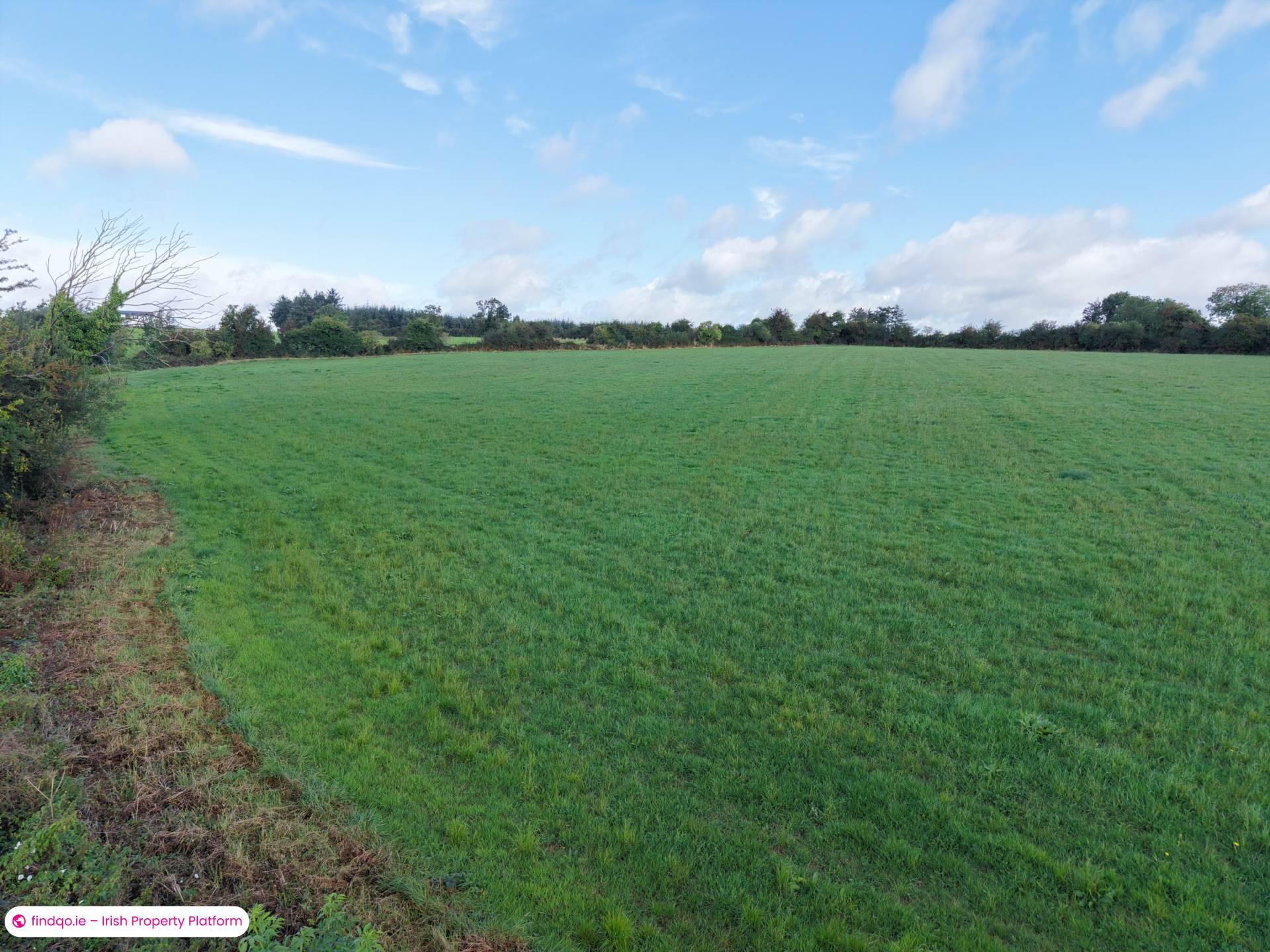 Agricultural Land for Sale in Drangan, Tipperary