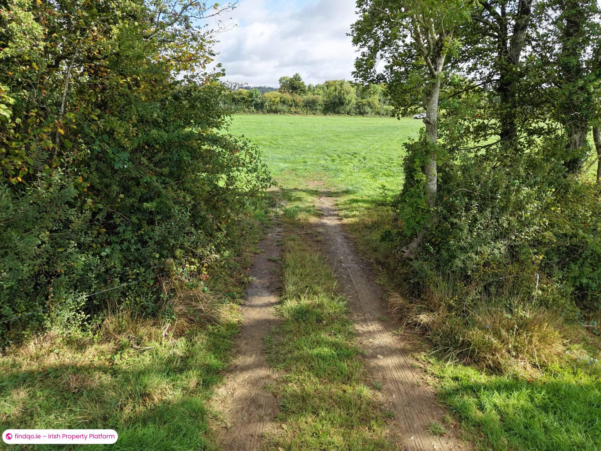 Agricultural Land for Sale in Drangan, Tipperary