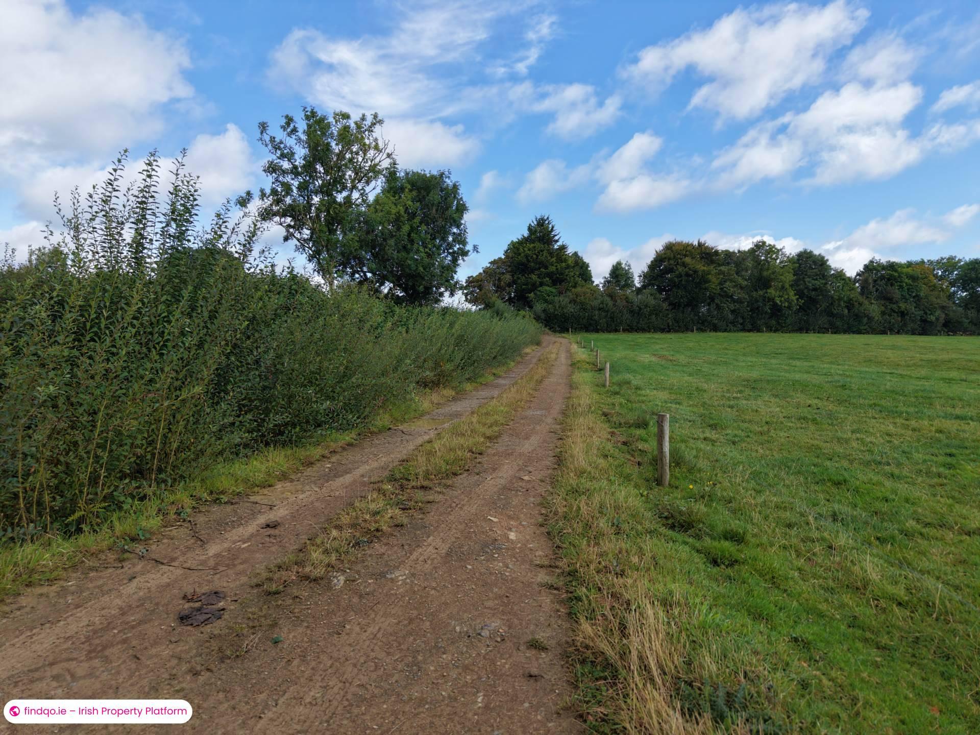 Agricultural Land for Sale in Drangan, Tipperary