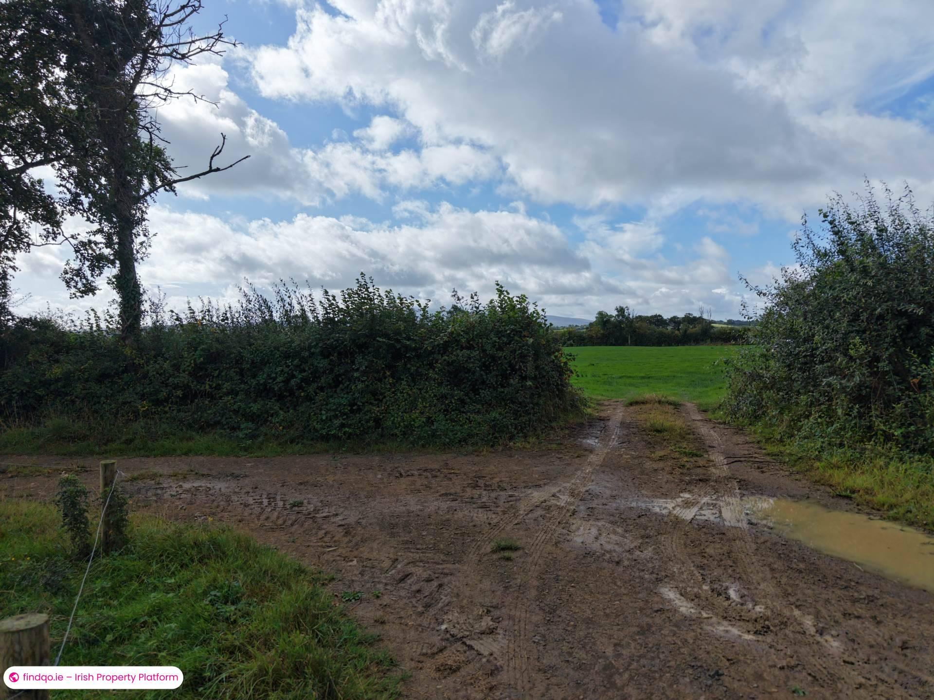 Agricultural Land for Sale in Drangan, Tipperary