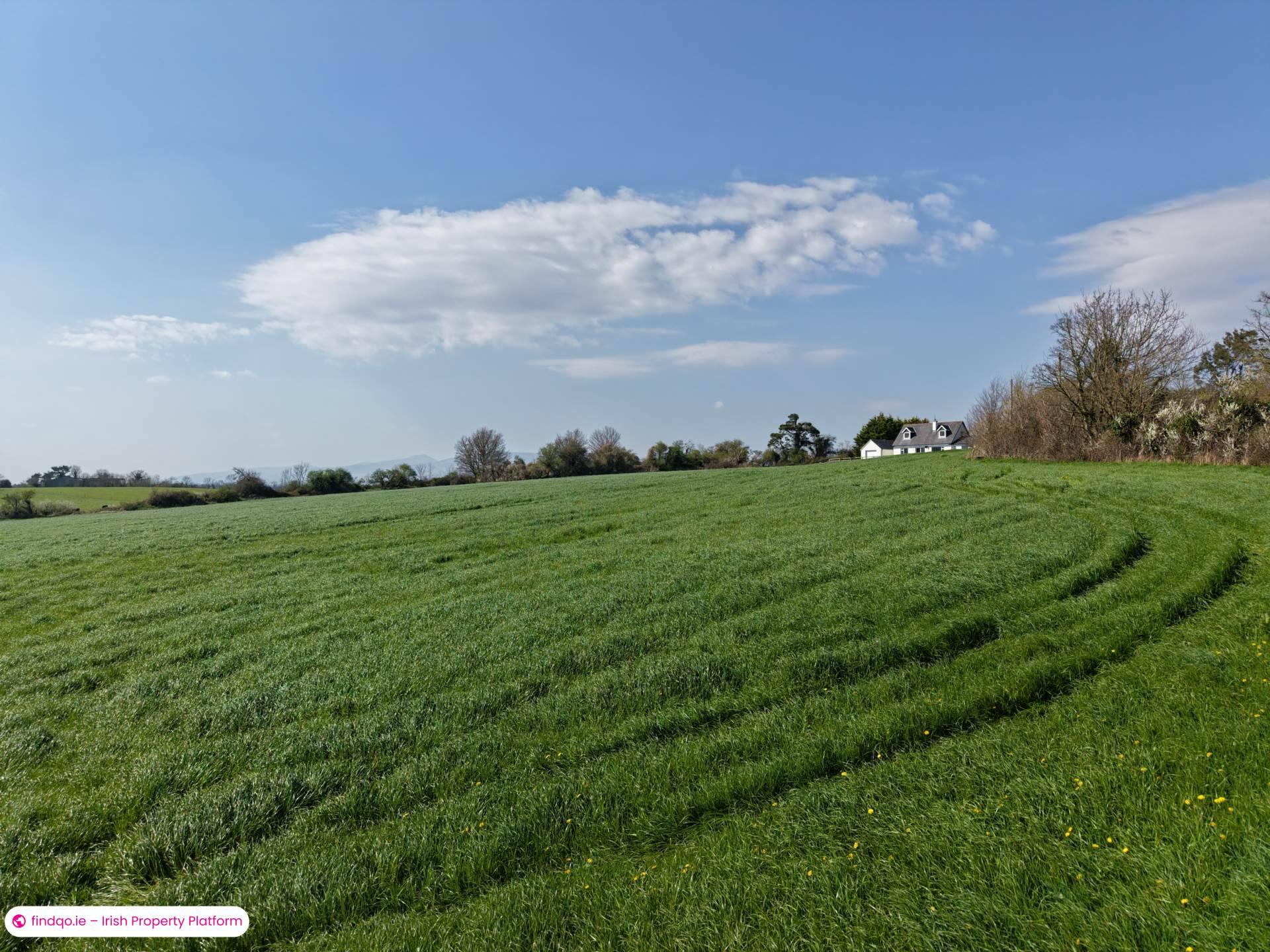 Agricultural Land for Sale in Ardfinnan, Tipperary