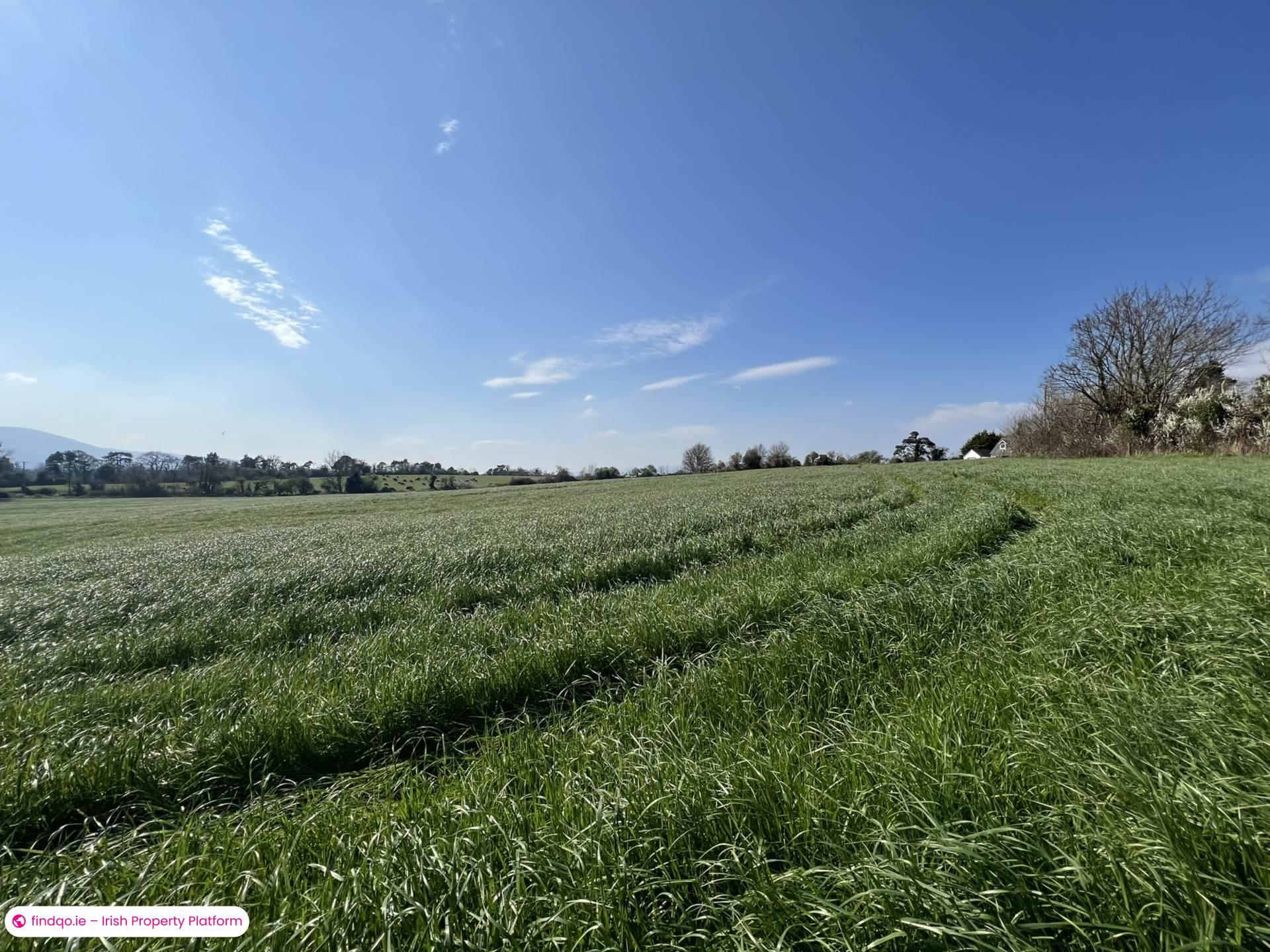 Agricultural Land for Sale in Ardfinnan, Tipperary