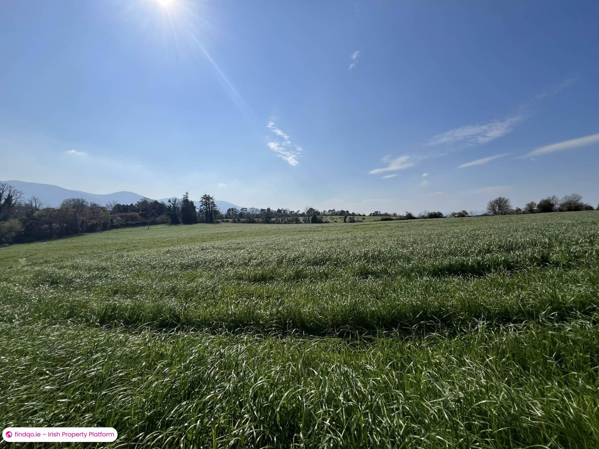 Agricultural Land for Sale in Ardfinnan, Tipperary