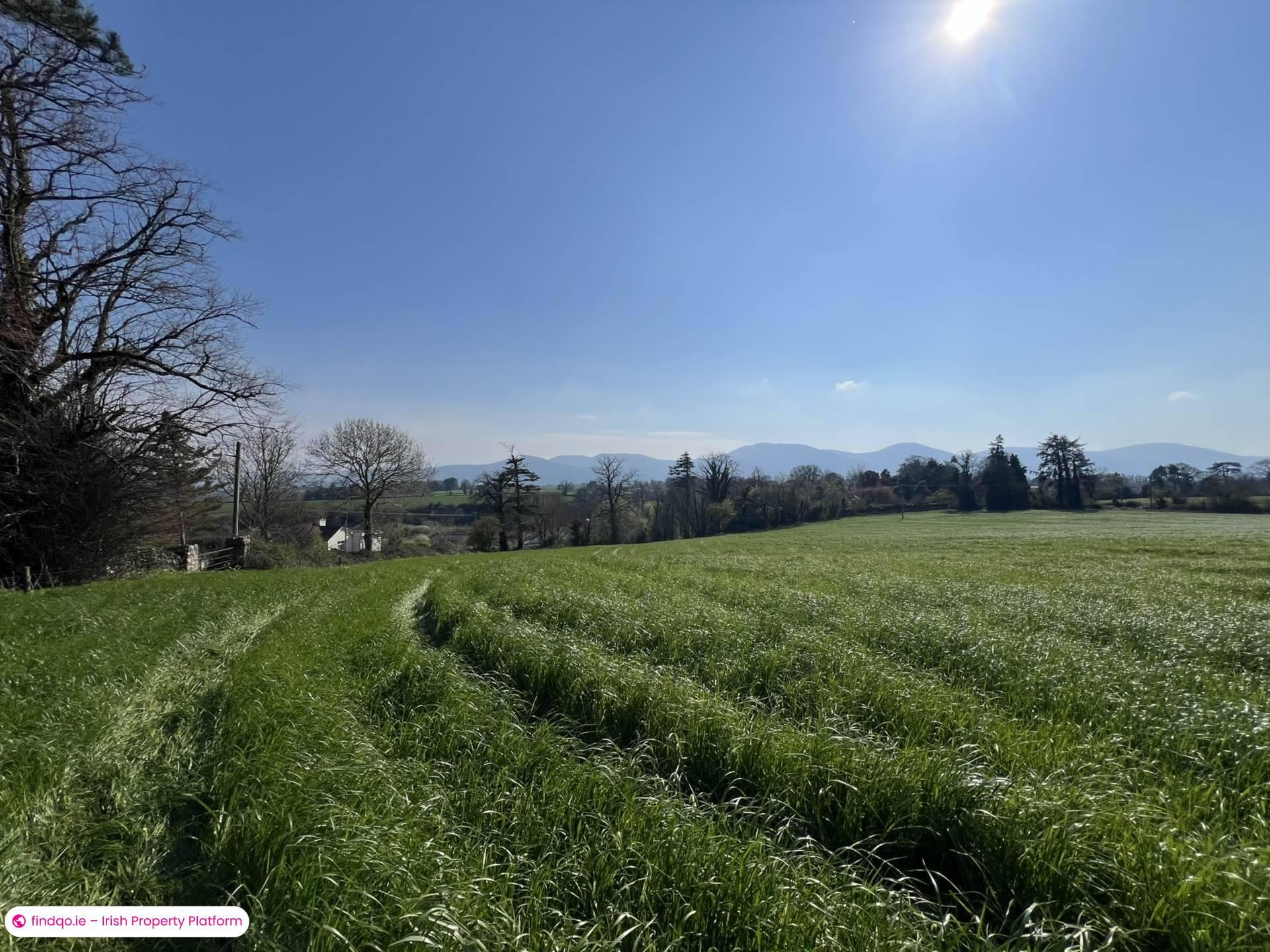 Agricultural Land for Sale in Ardfinnan, Tipperary