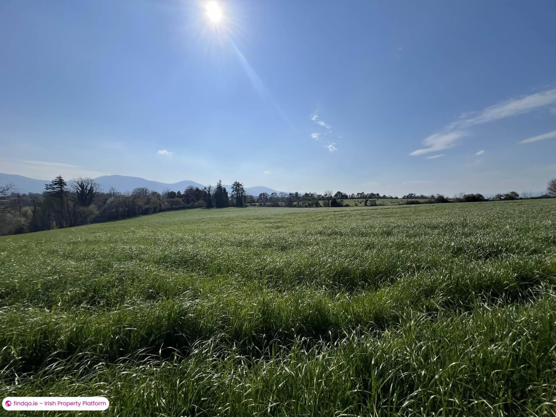 Agricultural Land for Sale in Ardfinnan, Tipperary