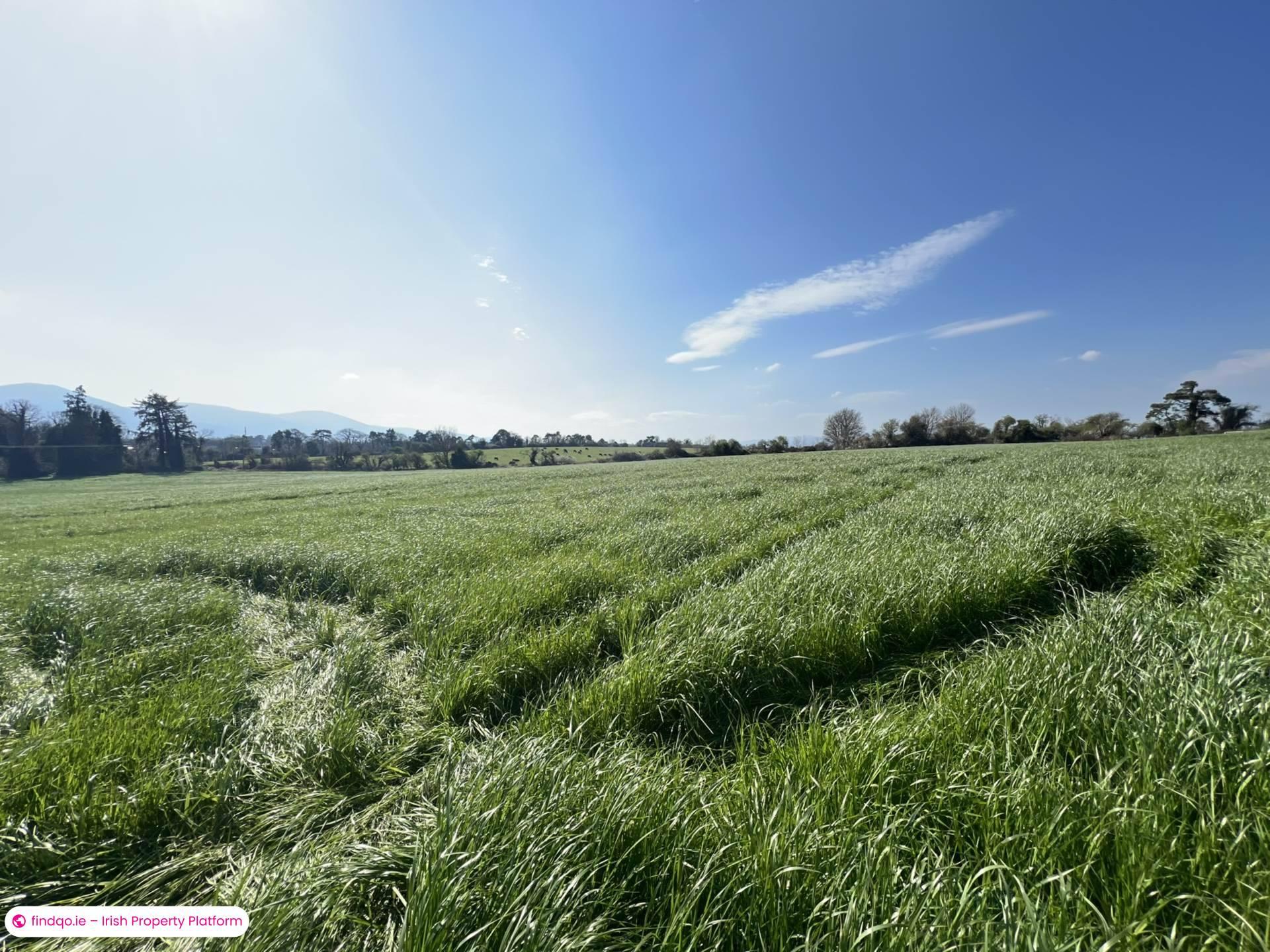 Agricultural Land for Sale in Ardfinnan, Tipperary