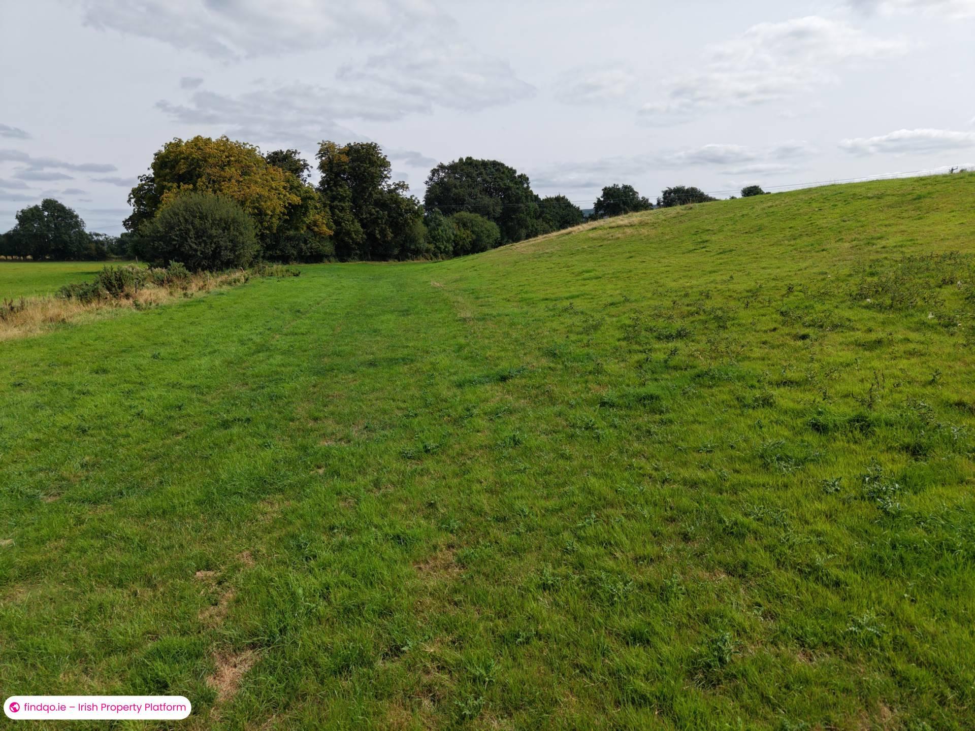 Agricultural Land for Sale in Clonmel, Tipperary