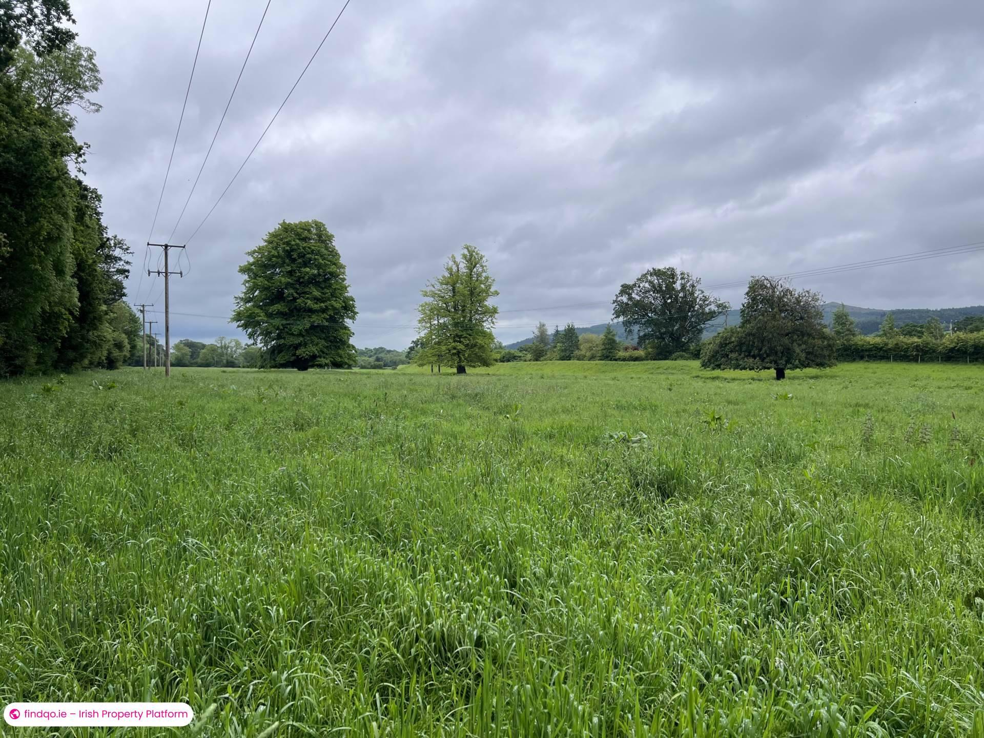 Agricultural Land for Sale in Clonmel, Tipperary