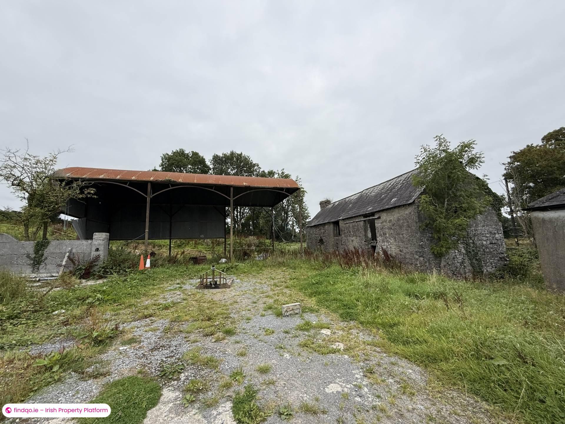 Detached house for Sale in Ballinasloe, Galway