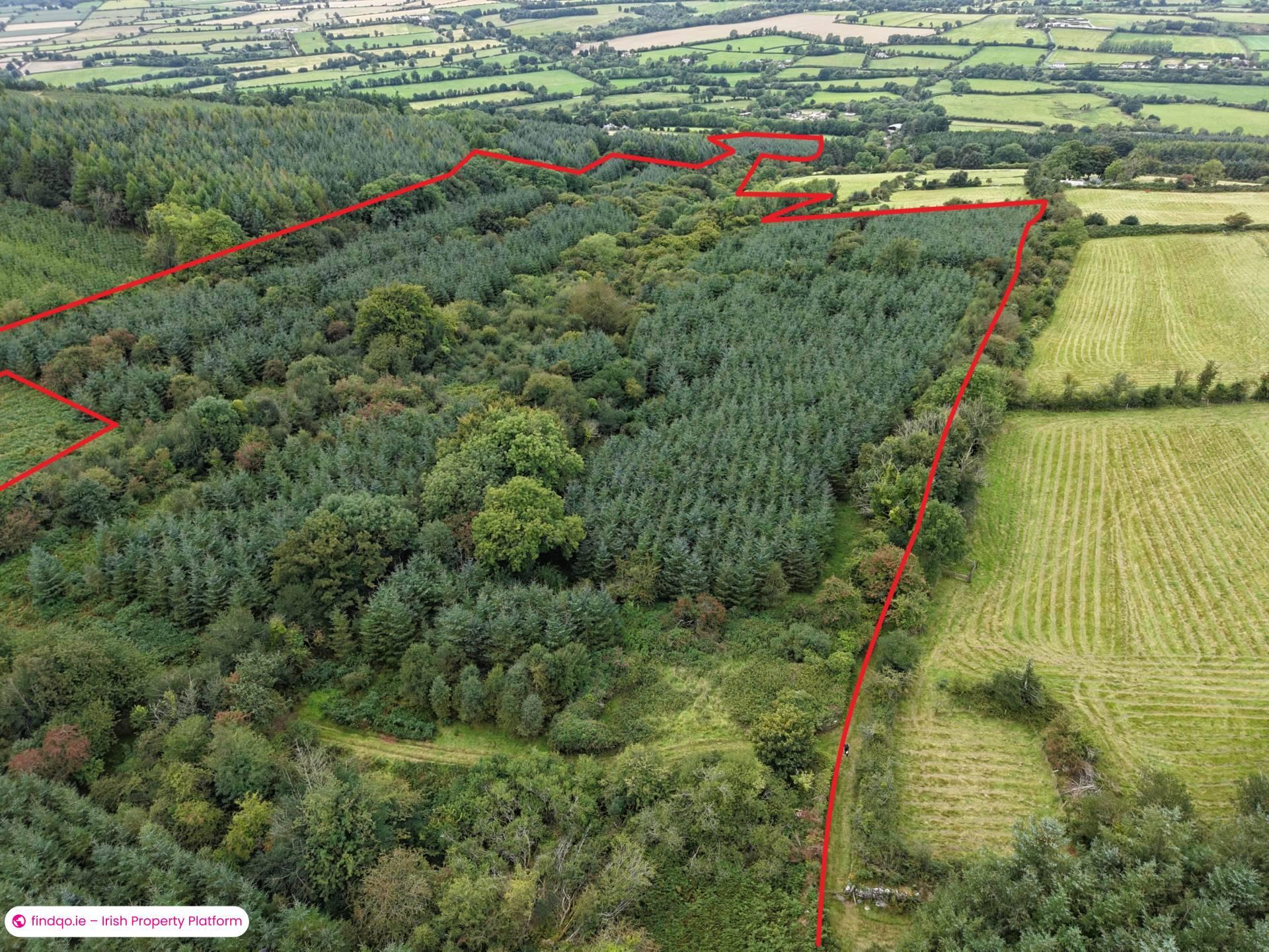 Agricultural Land for Sale in Fethard, Tipperary