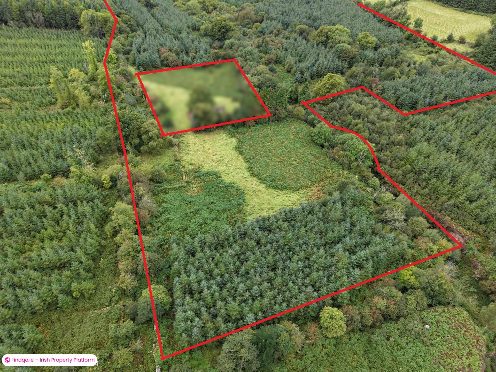 Agricultural Land for Sale in Fethard, Tipperary