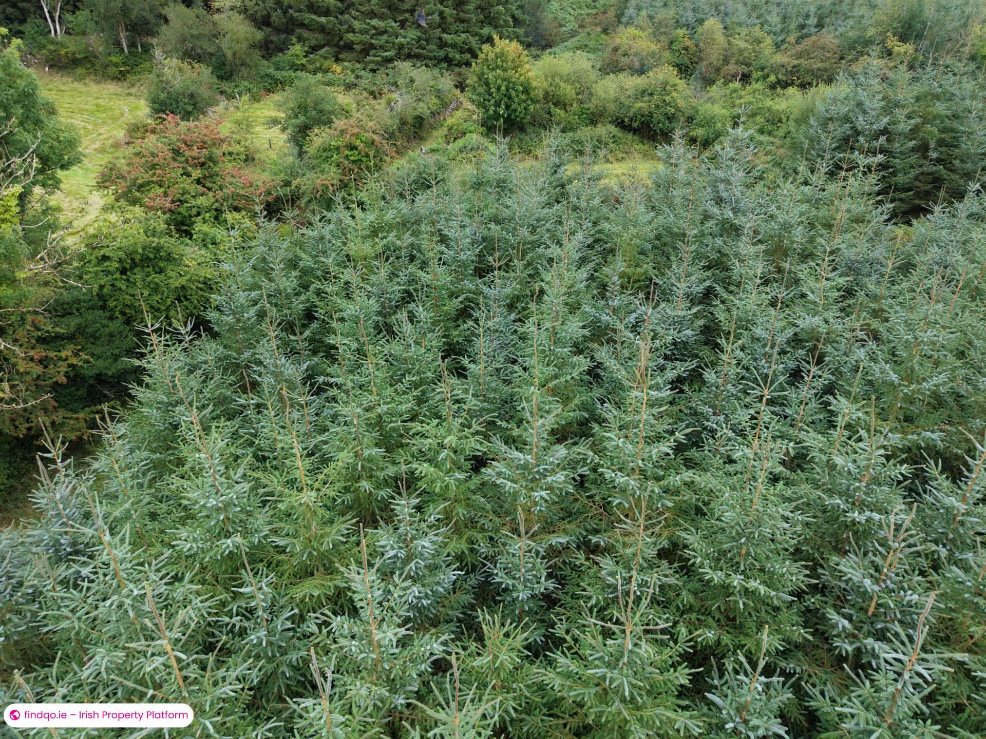 Agricultural Land for Sale in Fethard, Tipperary