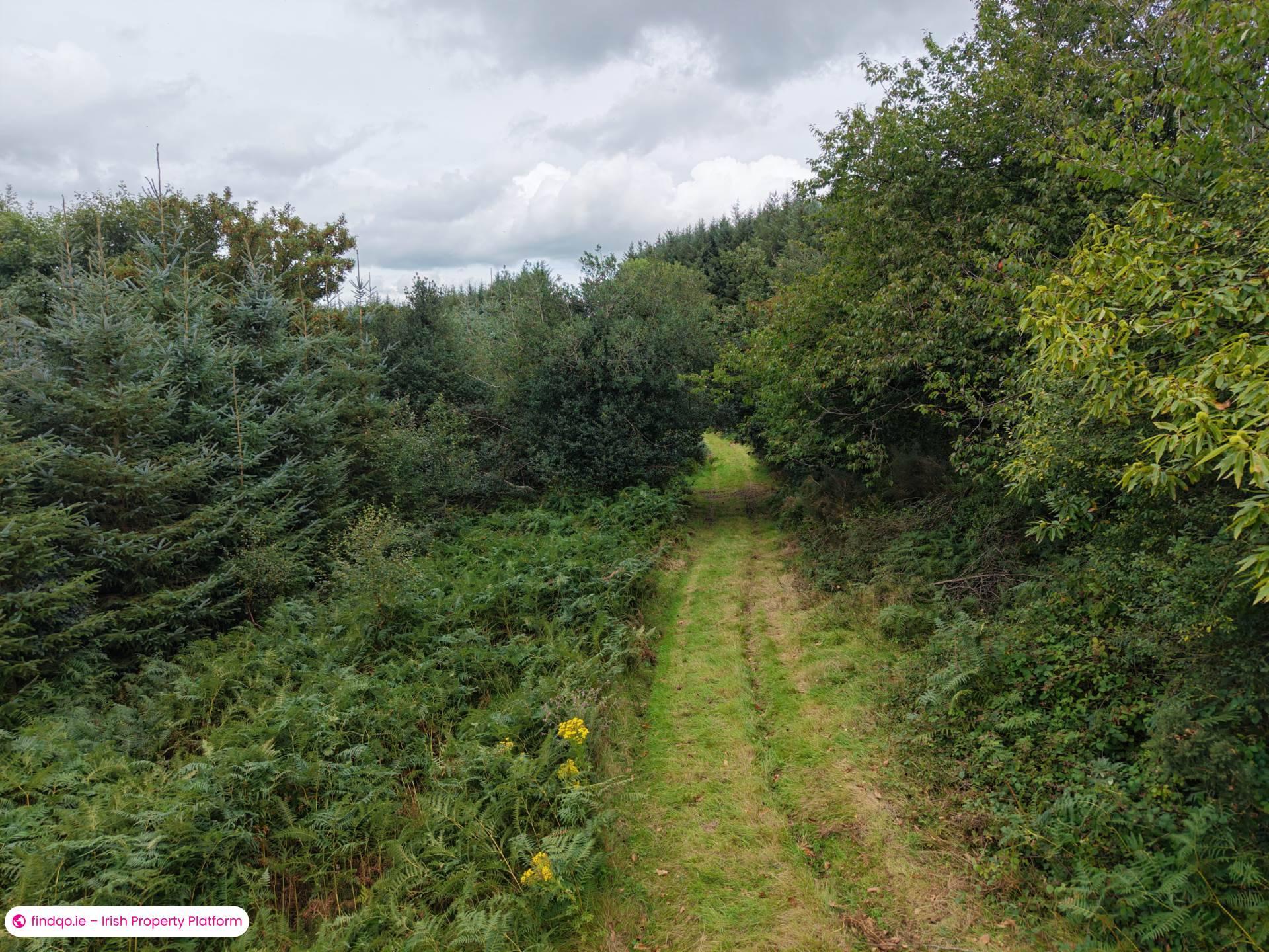 Agricultural Land for Sale in Fethard, Tipperary