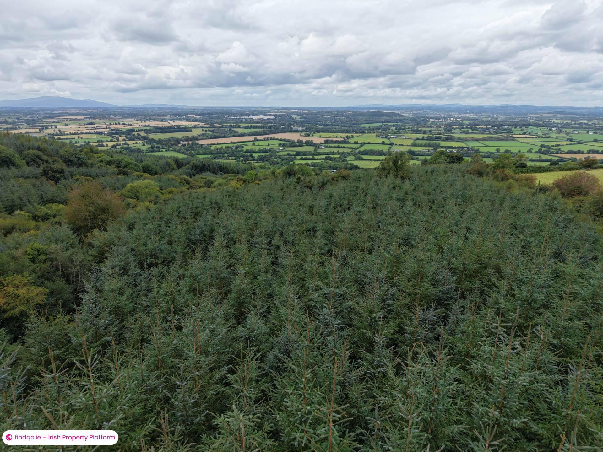 Agricultural Land for Sale in Fethard, Tipperary