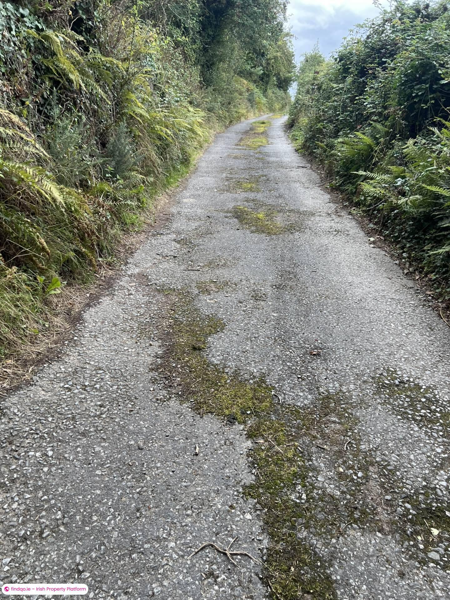 Agricultural Land for Sale in Fethard, Tipperary
