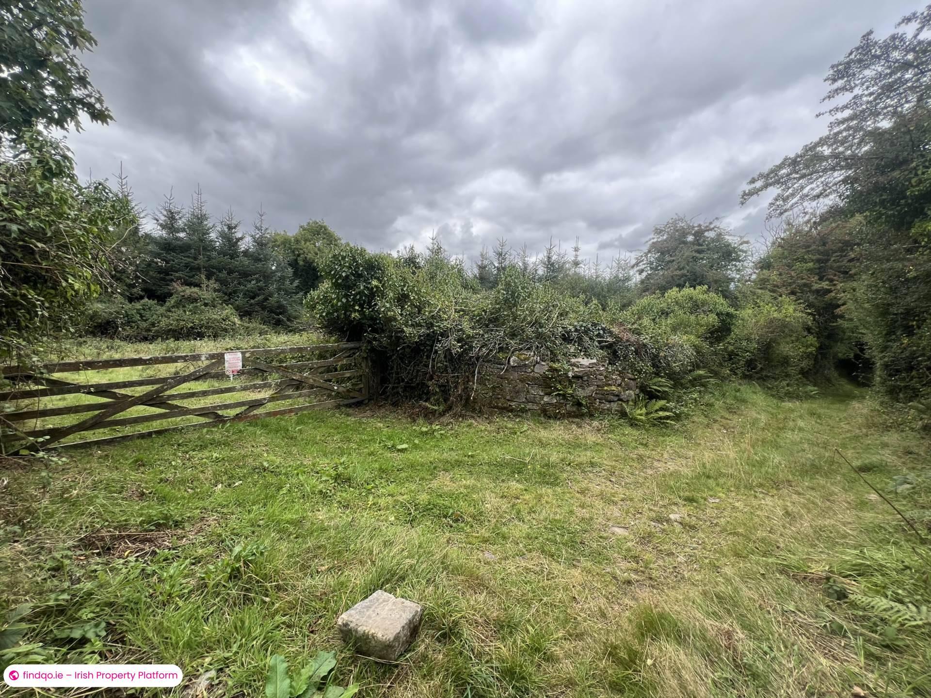 Agricultural Land for Sale in Fethard, Tipperary
