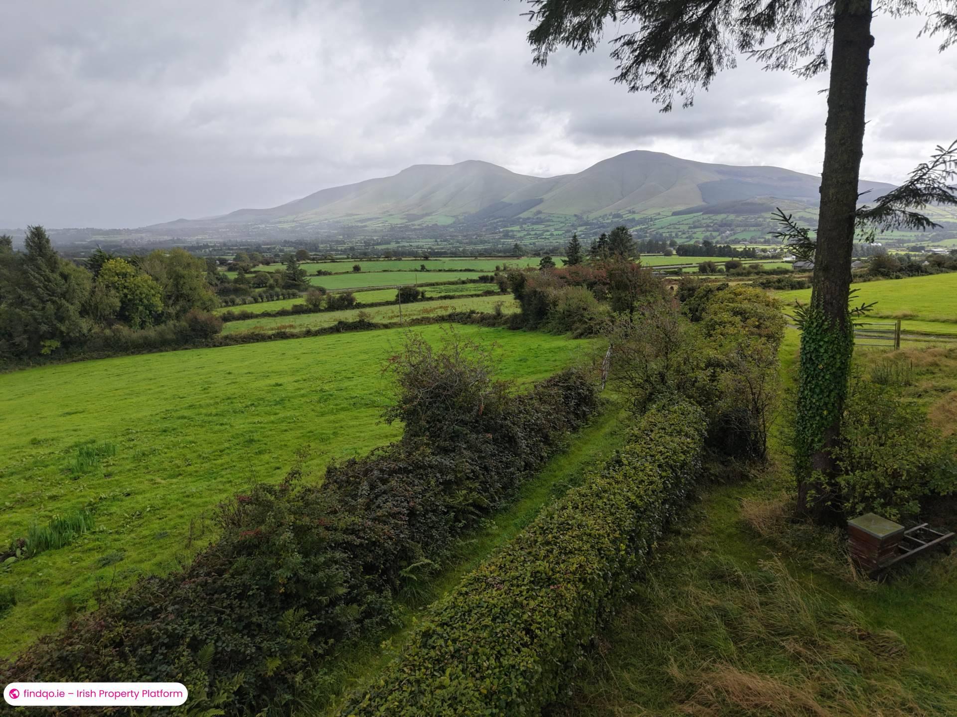 Property for Sale in Ballylanders, Limerick