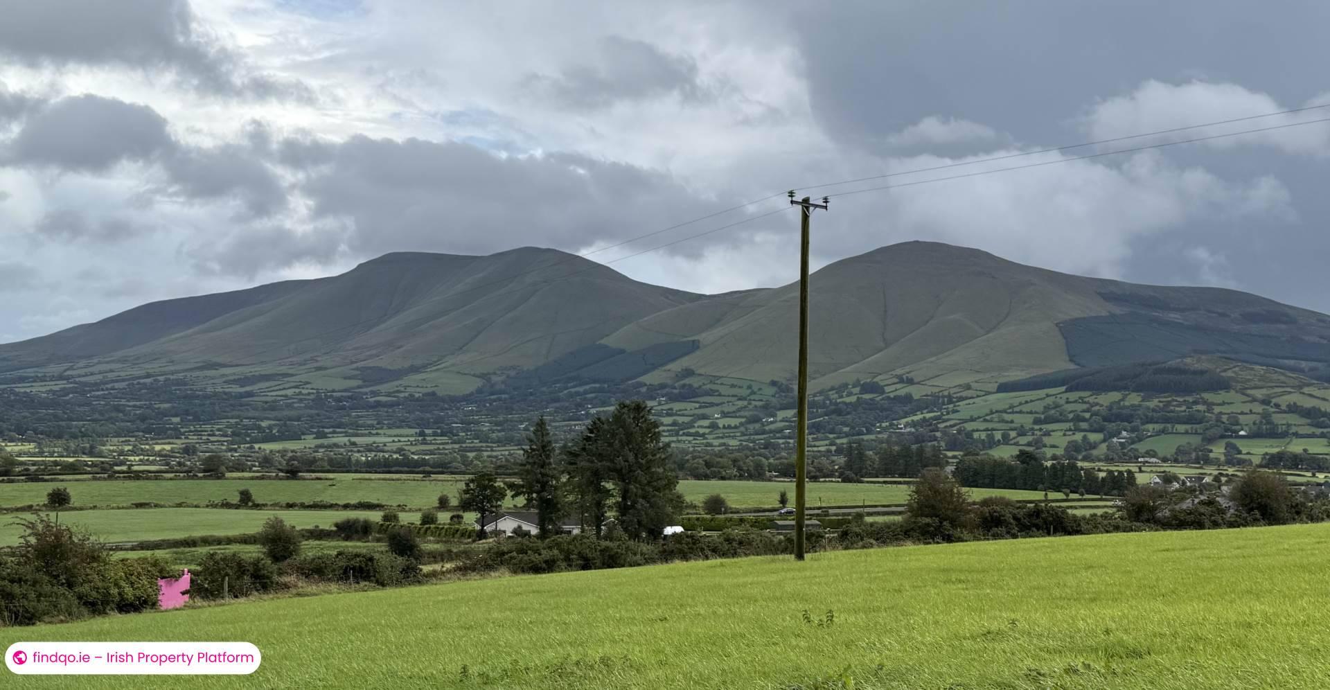 Property for Sale in Ballylanders, Limerick