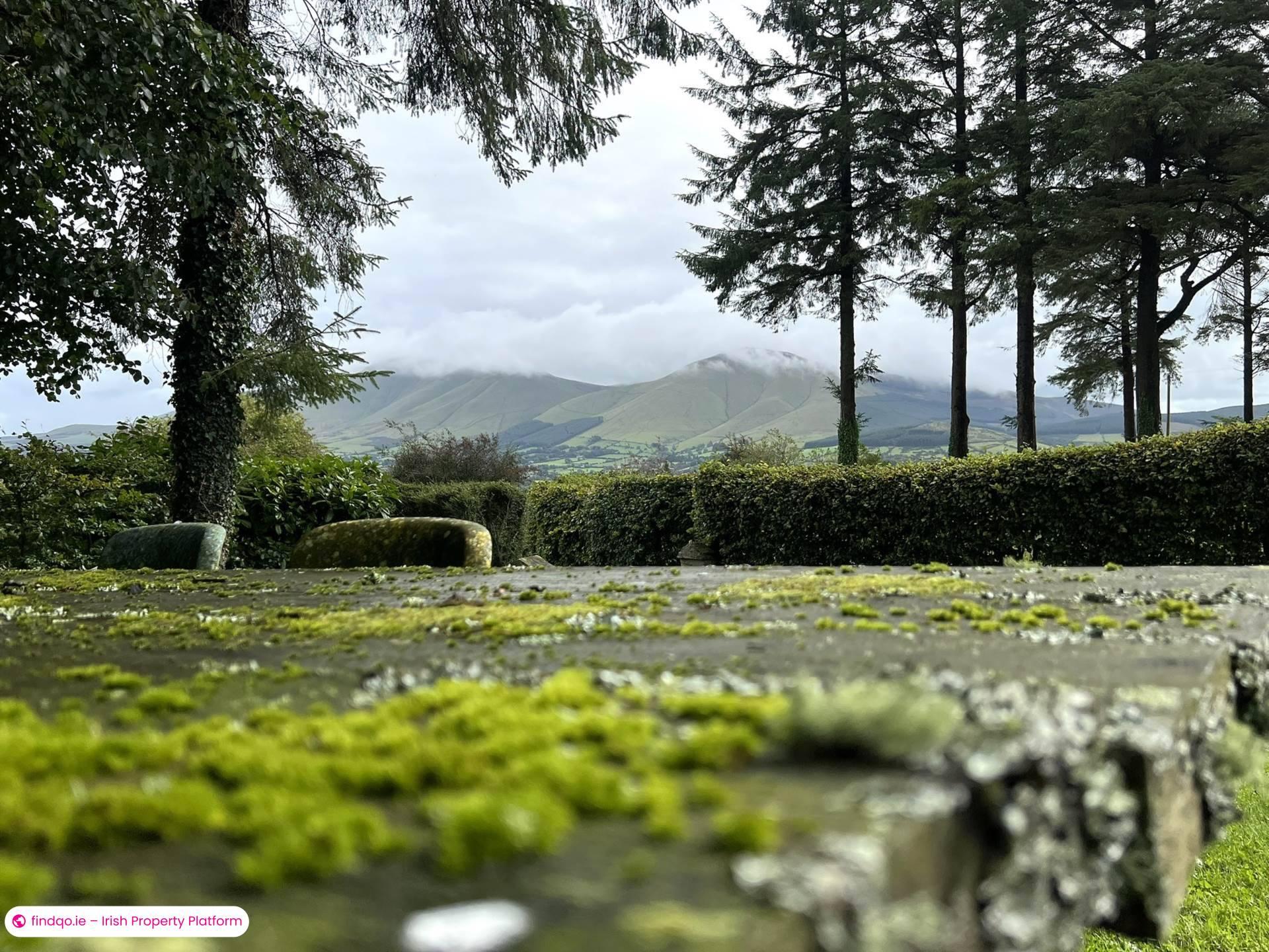 Property for Sale in Ballylanders, Limerick