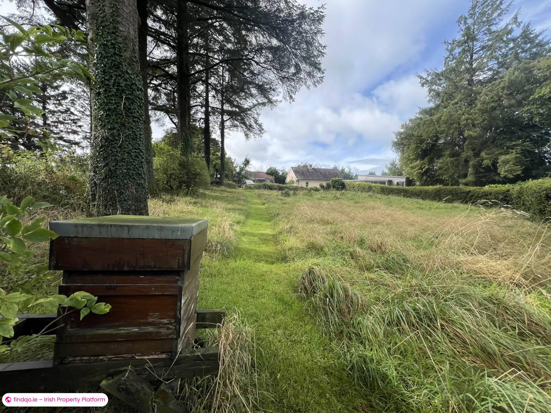 Property for Sale in Ballylanders, Limerick