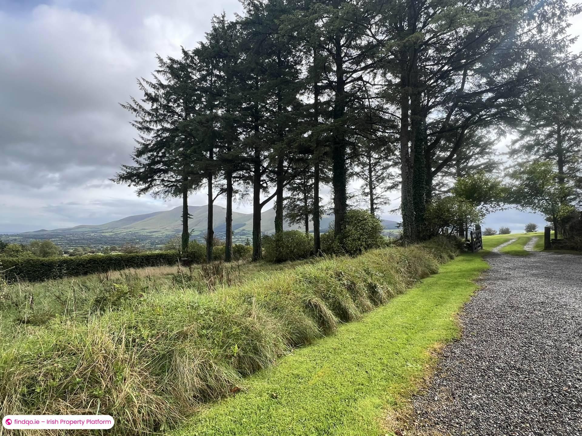 Property for Sale in Ballylanders, Limerick