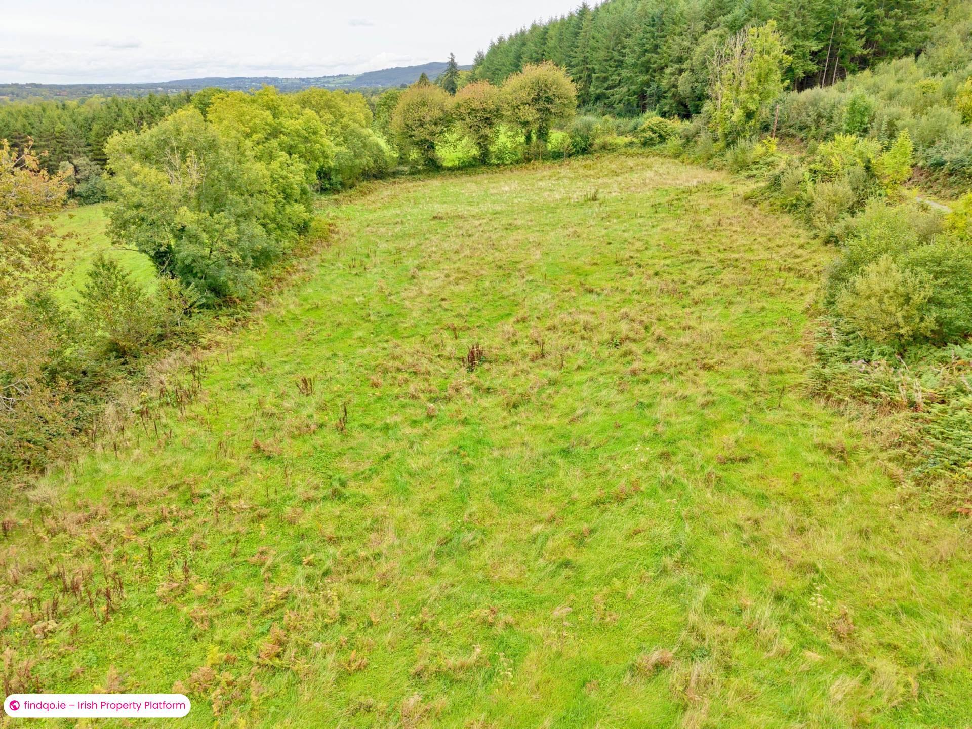Commercial Site for Sale in Mullinahone, Tipperary