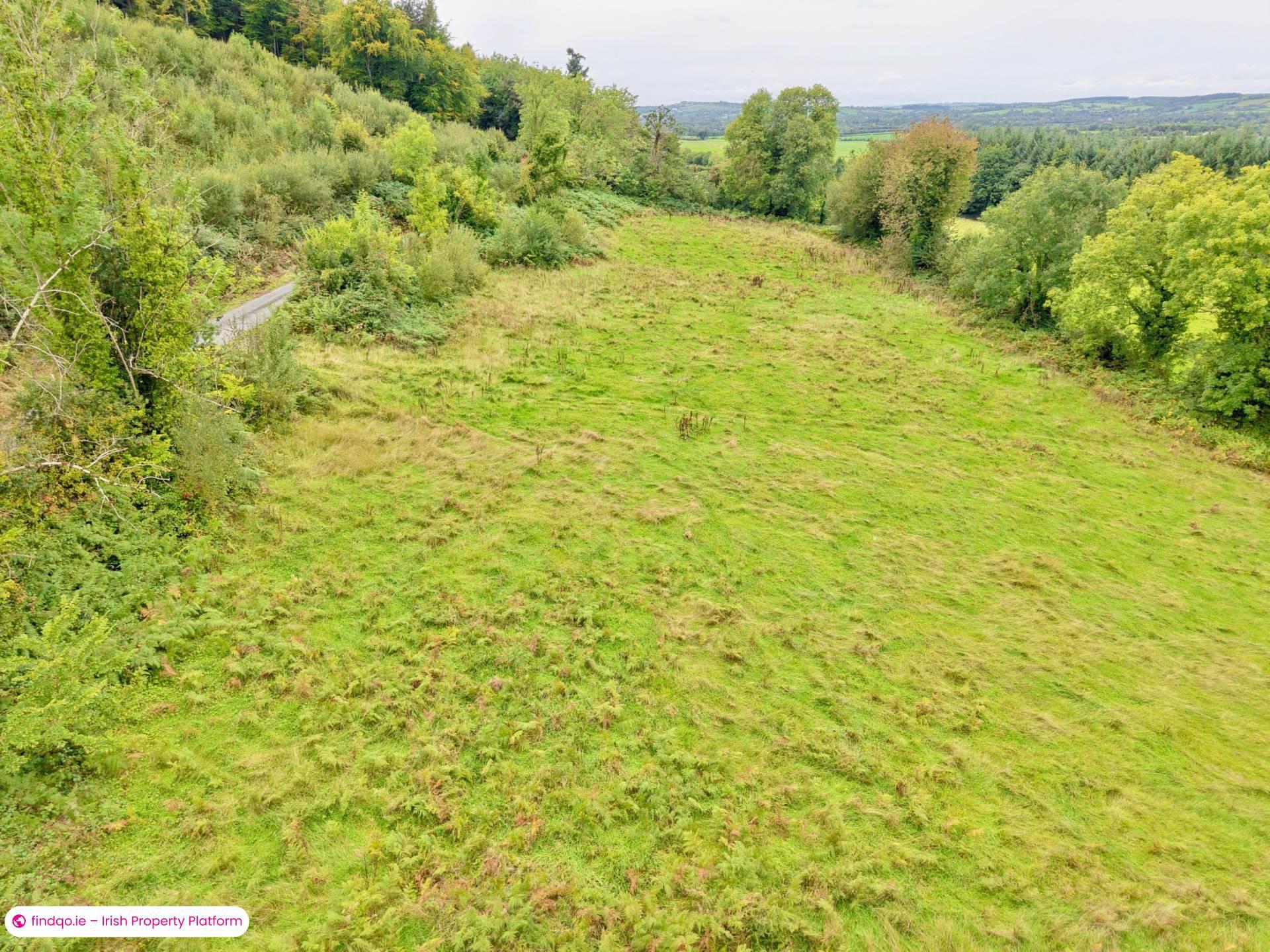 Commercial Site for Sale in Mullinahone, Tipperary