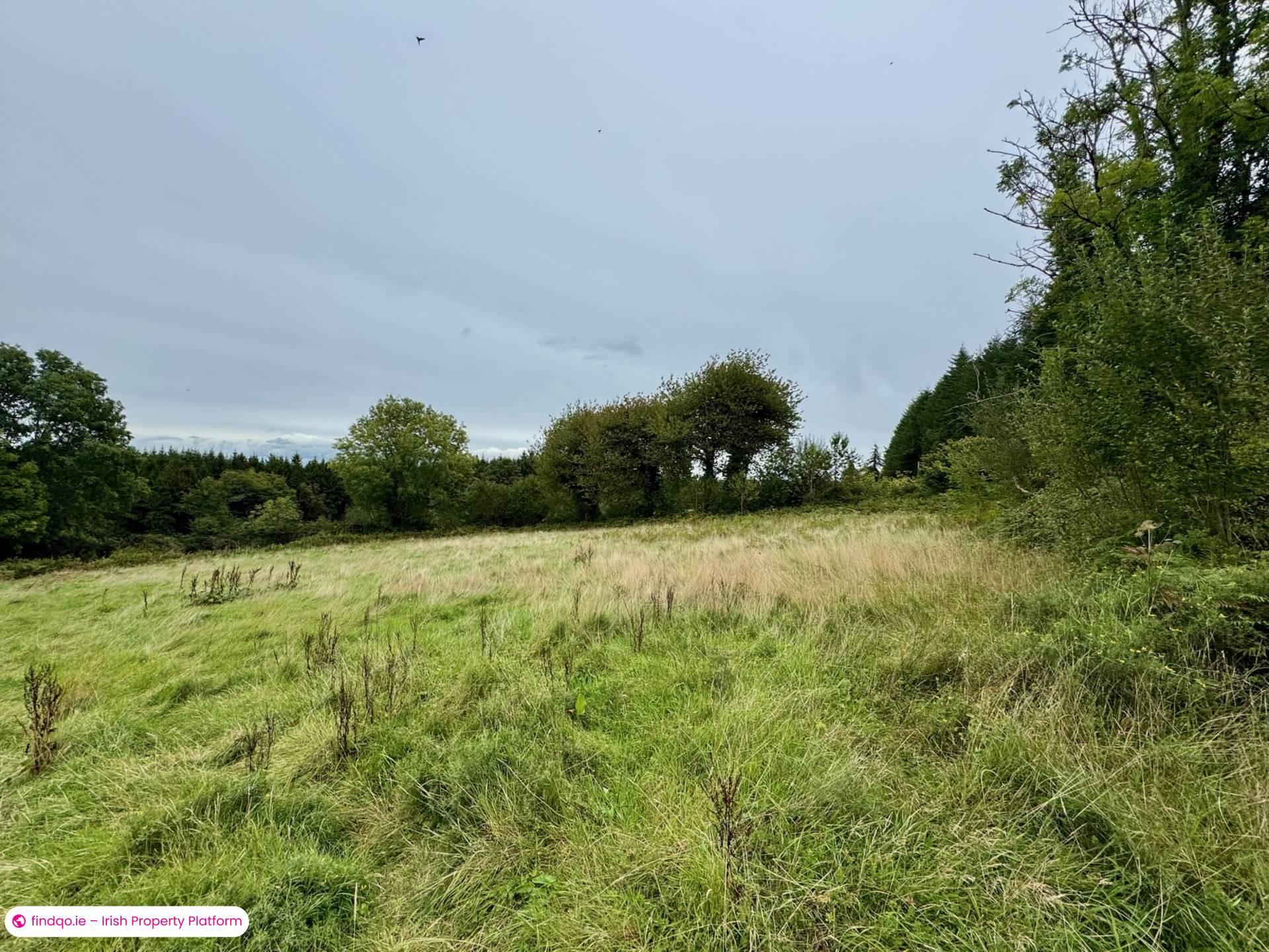 Commercial Site for Sale in Mullinahone, Tipperary