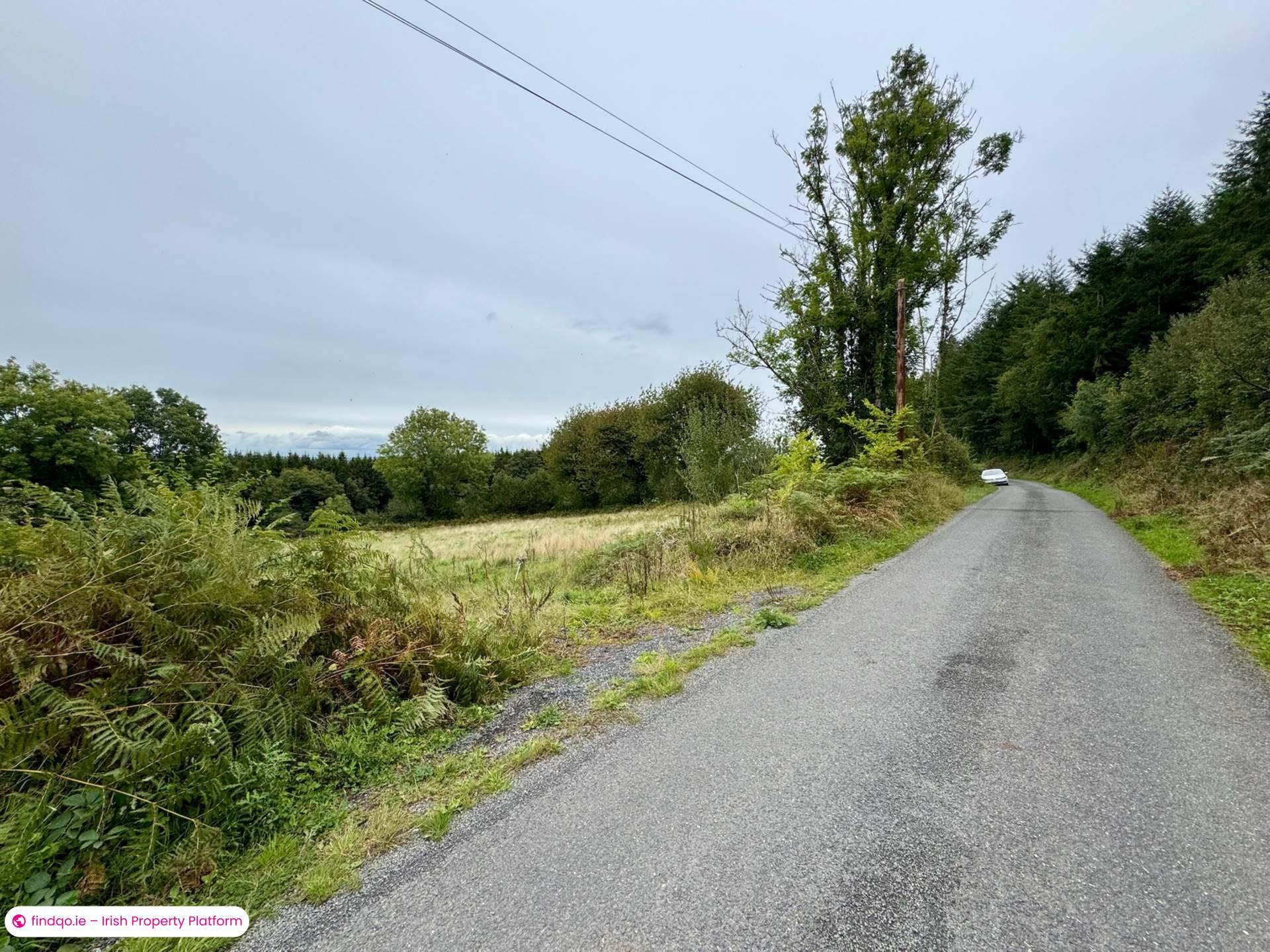 Commercial Site for Sale in Mullinahone, Tipperary