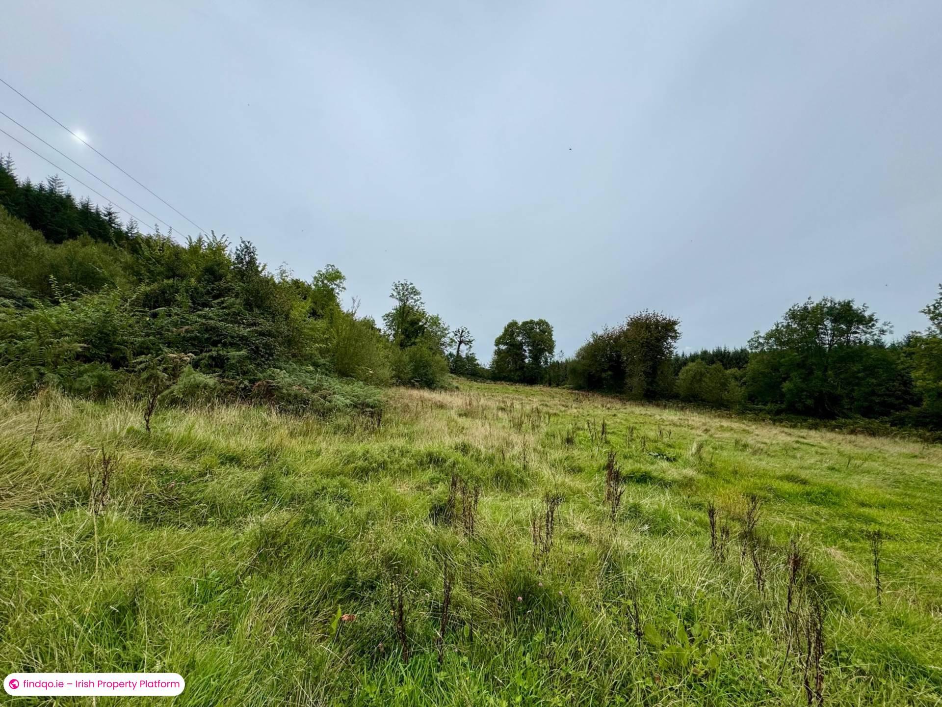 Commercial Site for Sale in Mullinahone, Tipperary