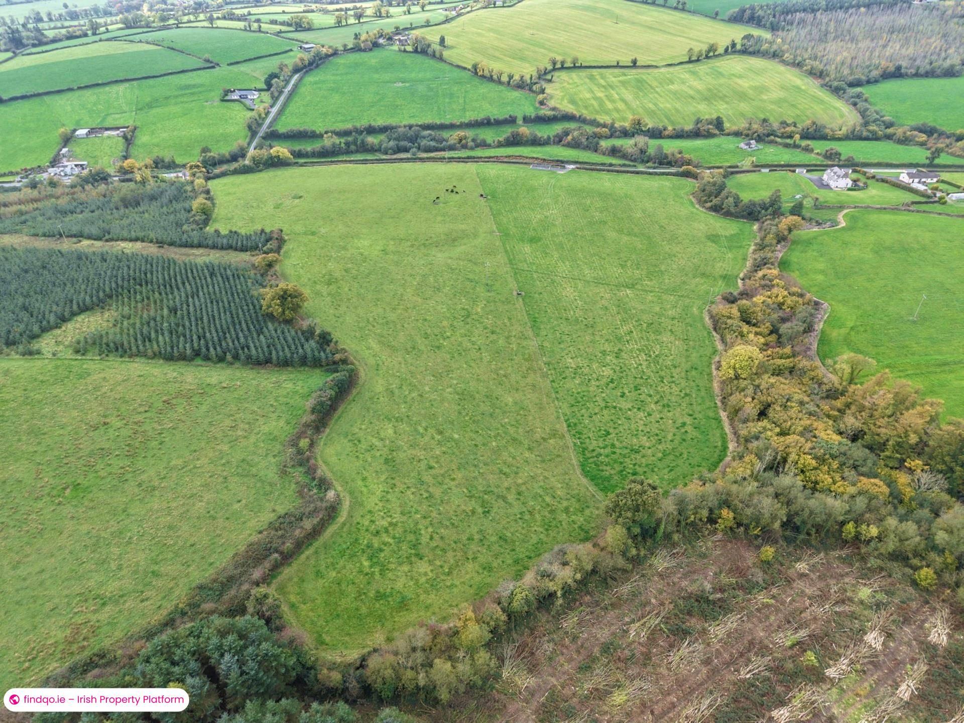 Agricultural Land for Sale in Drangan, Tipperary