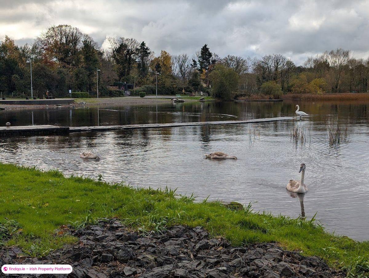 Bungalow for Sale in Nenagh, Tipperary