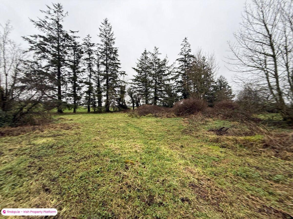 Detached house for Sale in Croghan, Roscommon