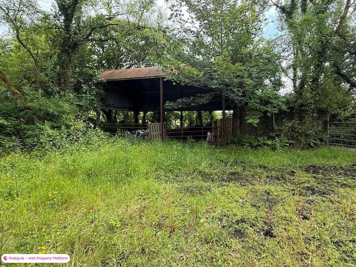 Detached house for Sale in Castlerea, Roscommon