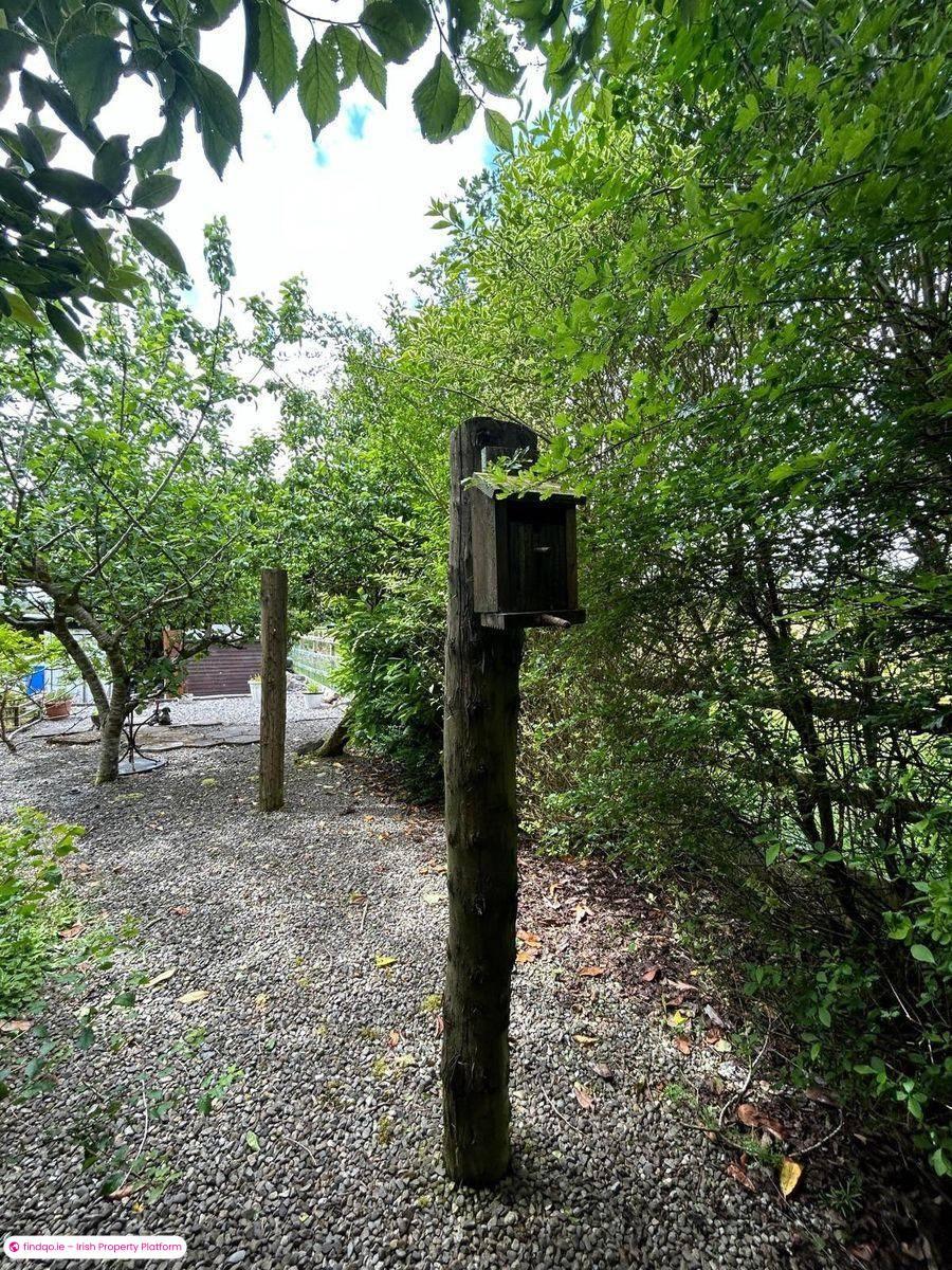 Detached house for Sale in Castlerea, Roscommon