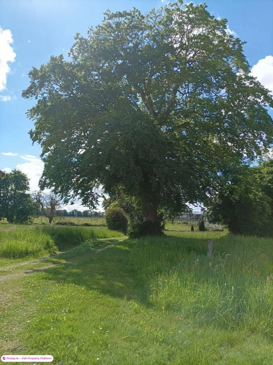Detached house for Sale in Kilcornan, Limerick