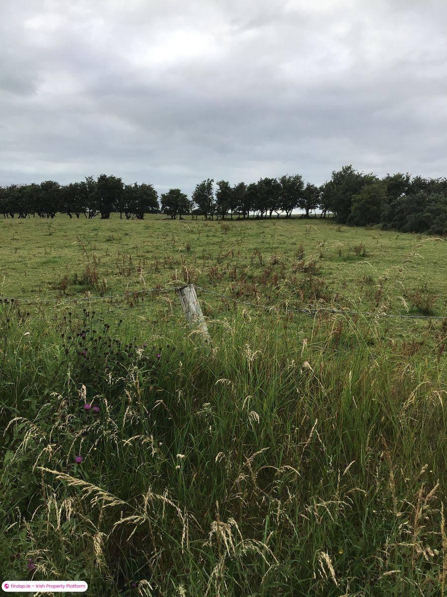 Site for Sale in Irishtown, Mayo