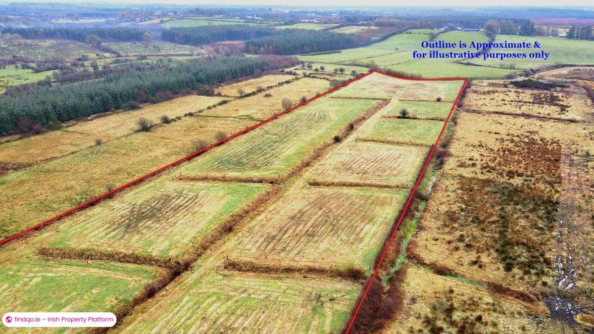 Agricultural Land for Sale in Lisacul, Roscommon