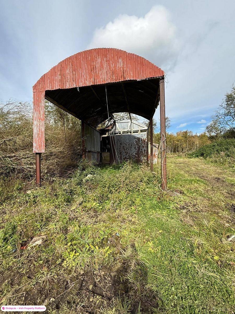 Agricultural Land for Sale in Tibohine, Roscommon