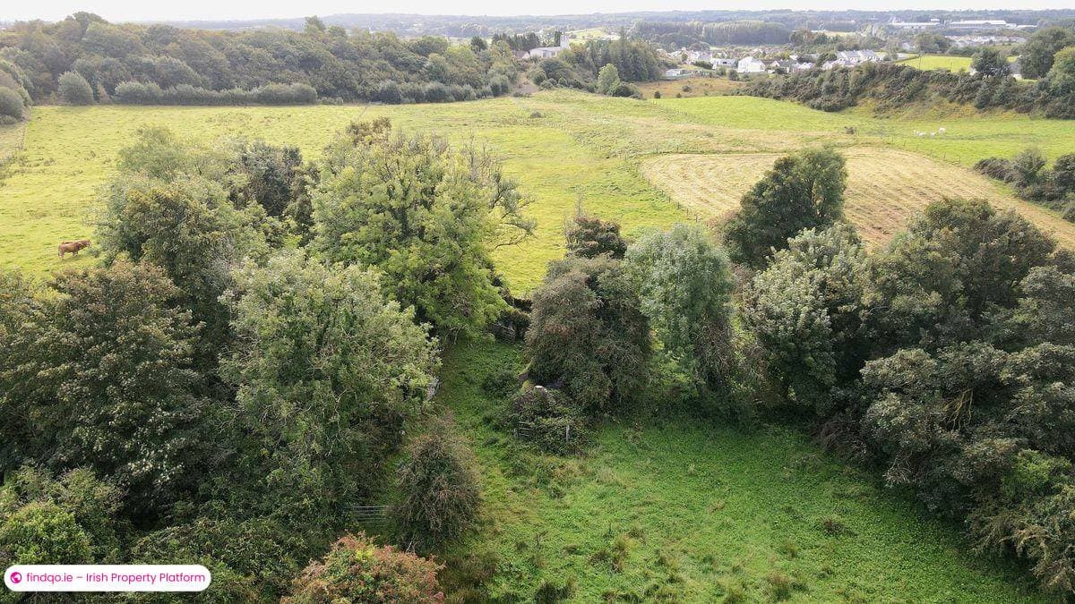 Agricultural Land for Sale in Kilkelly, Mayo