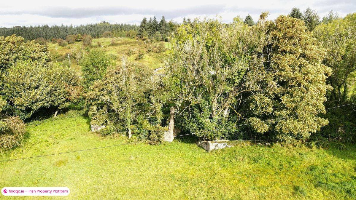 Agricultural Land for Sale in Kilkelly, Mayo