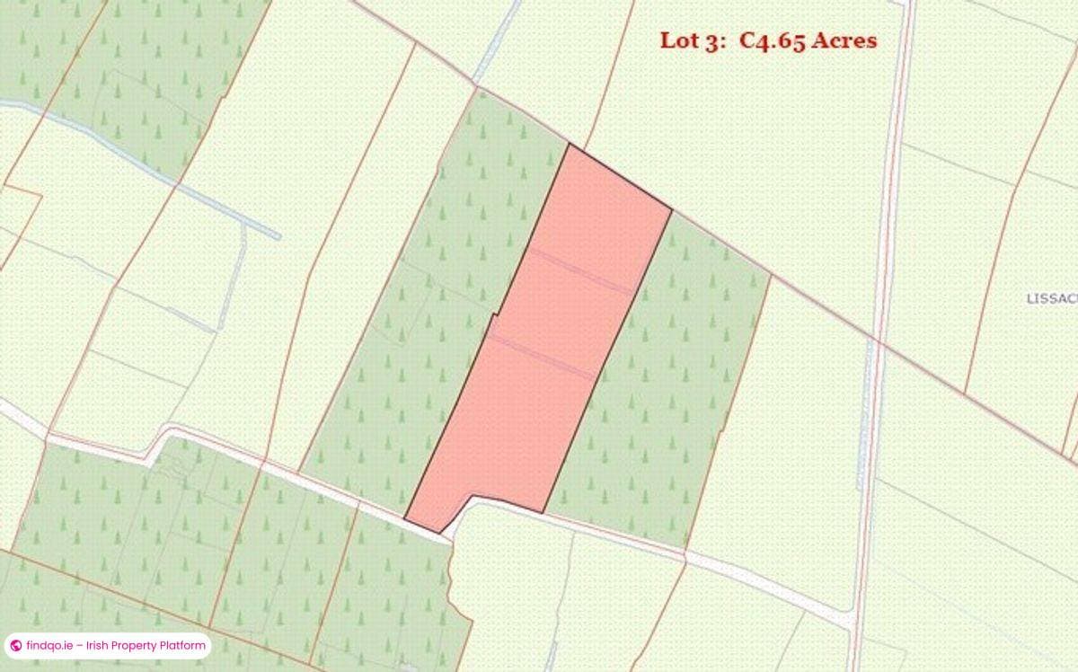 Agricultural Land for Sale in Tibohine, Roscommon
