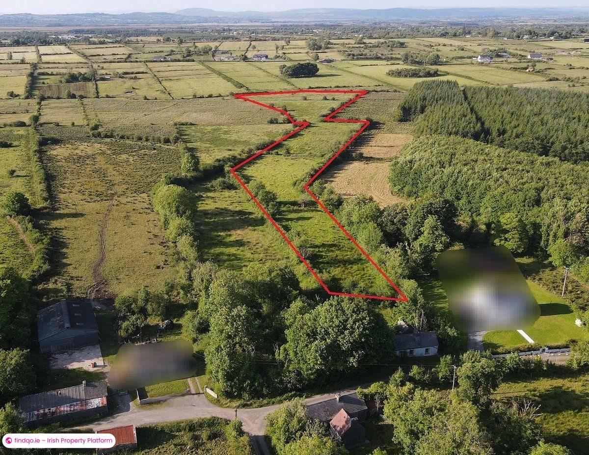 Agricultural Land for Sale in Tibohine, Roscommon