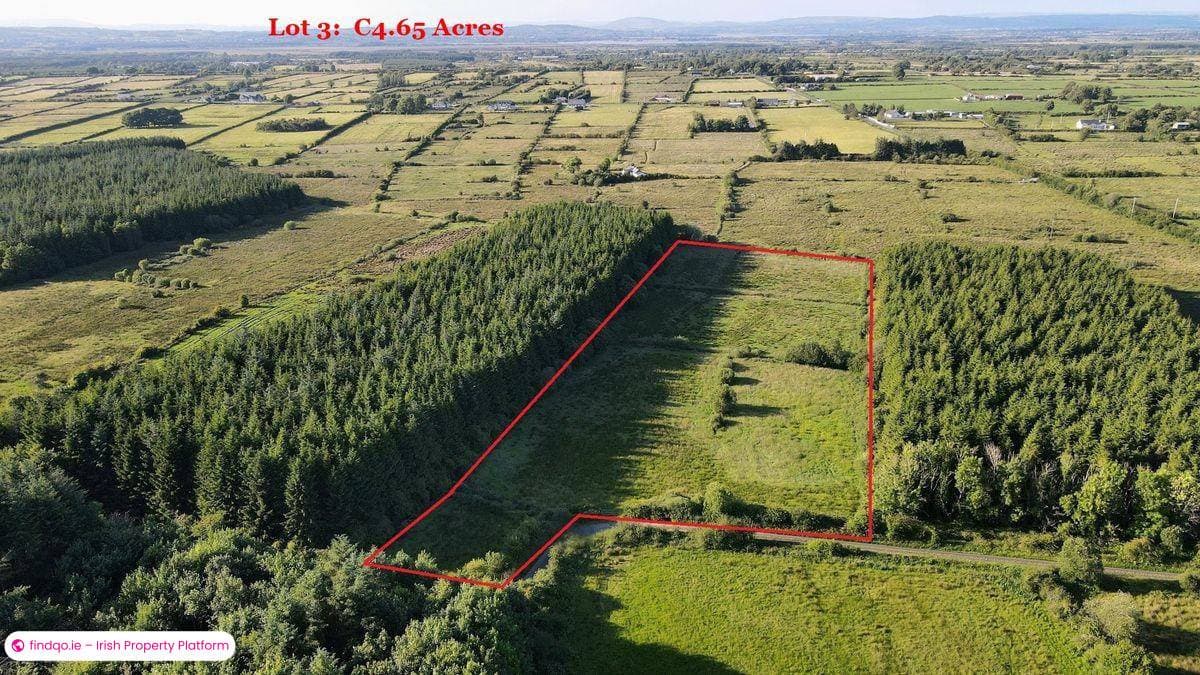 Agricultural Land for Sale in Tibohine, Roscommon