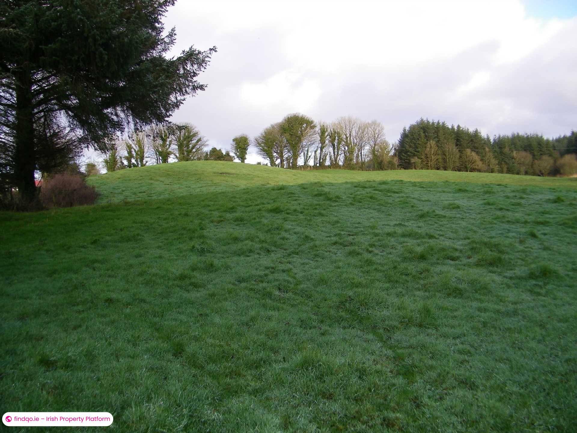 Agricultural Land for Sale in Castlerea, Roscommon