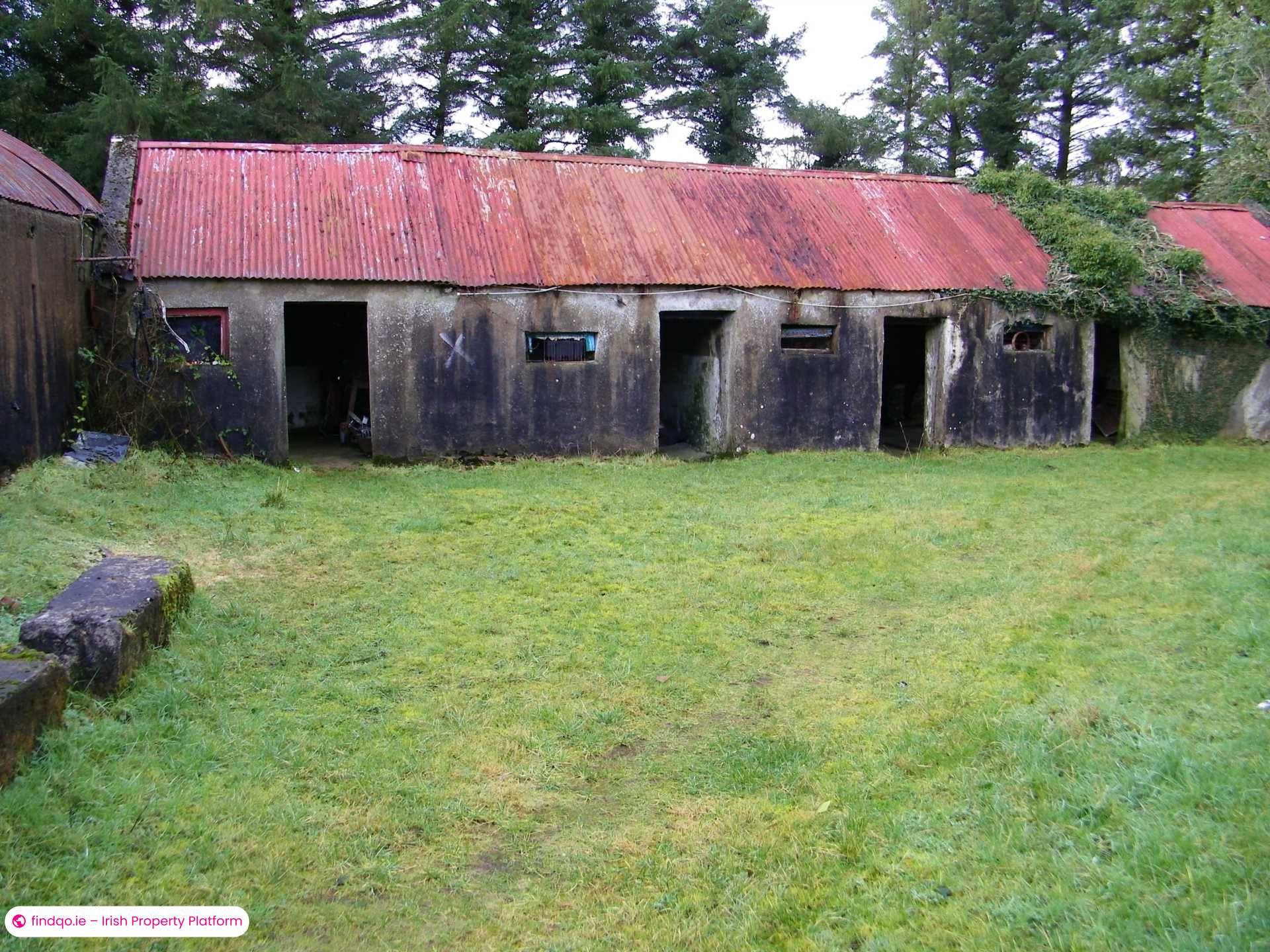 Agricultural Land for Sale in Castlerea, Roscommon