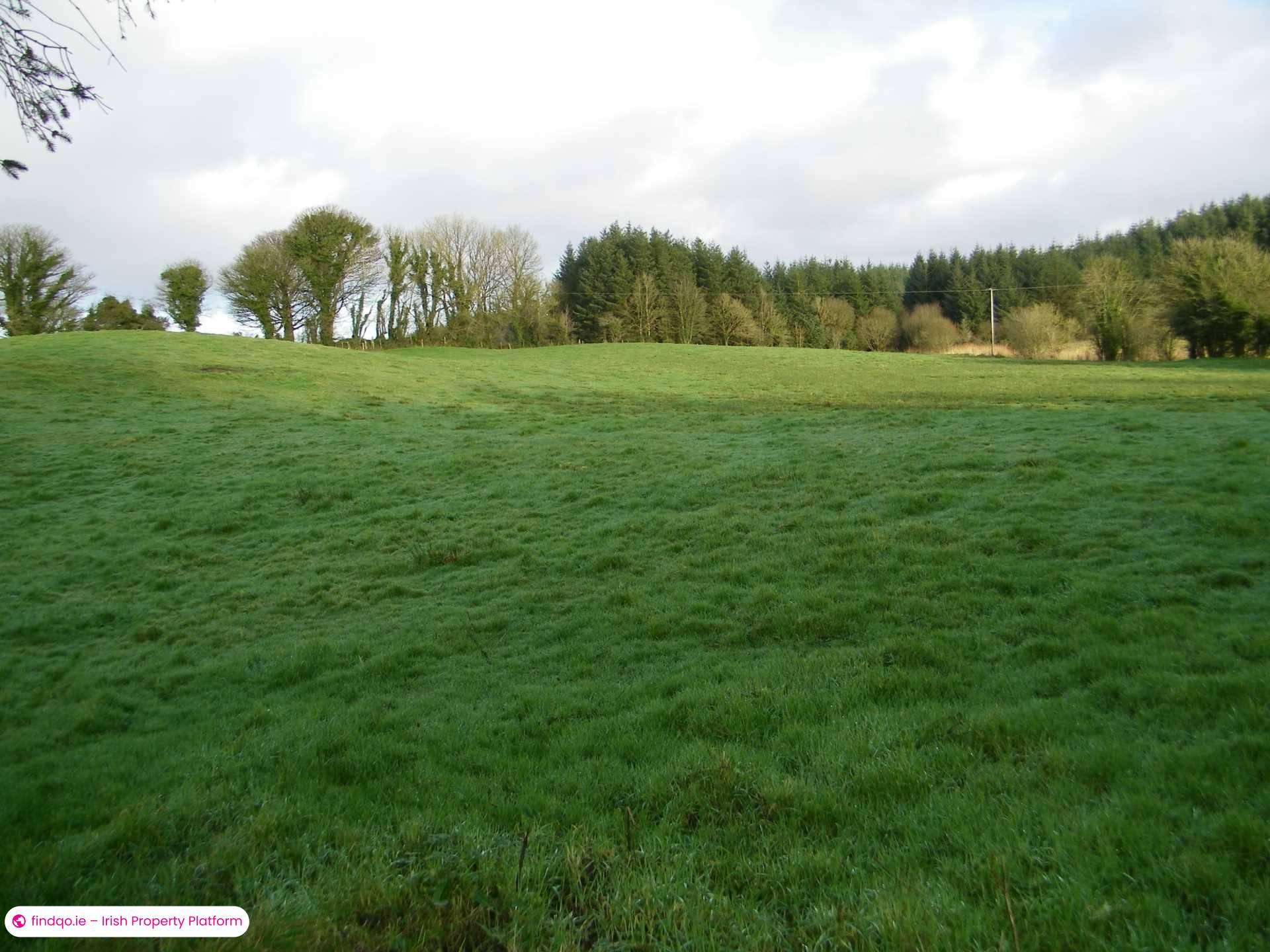 Agricultural Land for Sale in Castlerea, Roscommon