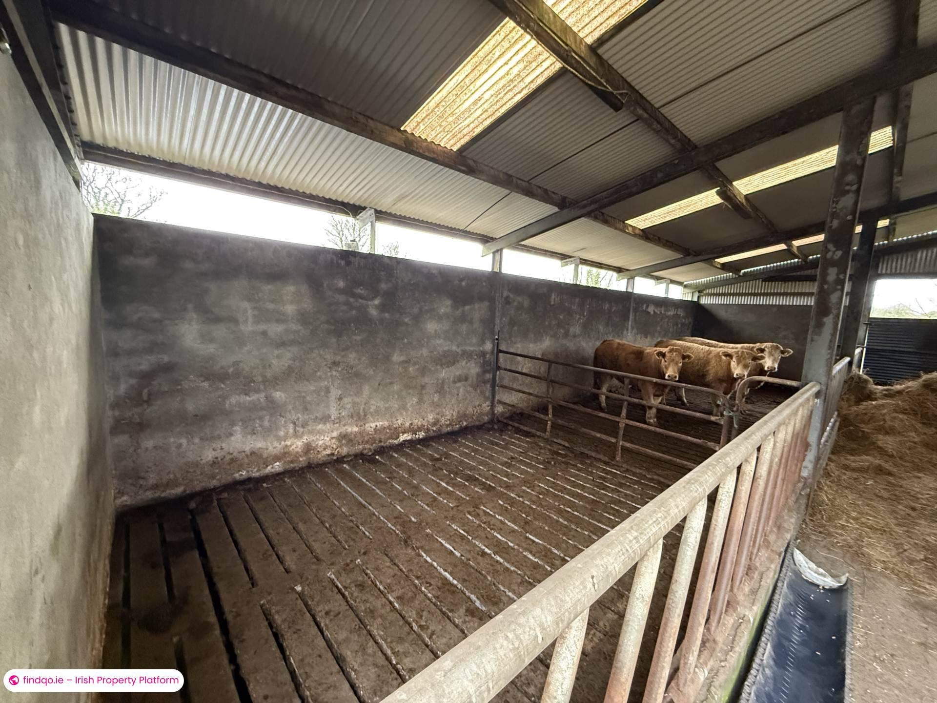 Property for Sale in Ballyhaunis, Mayo